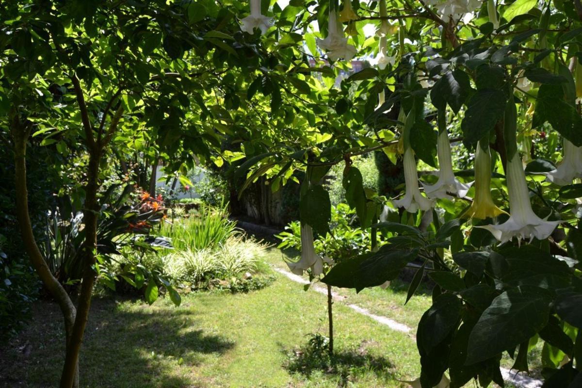 Hotel Amandi O Grove Bagian luar foto
